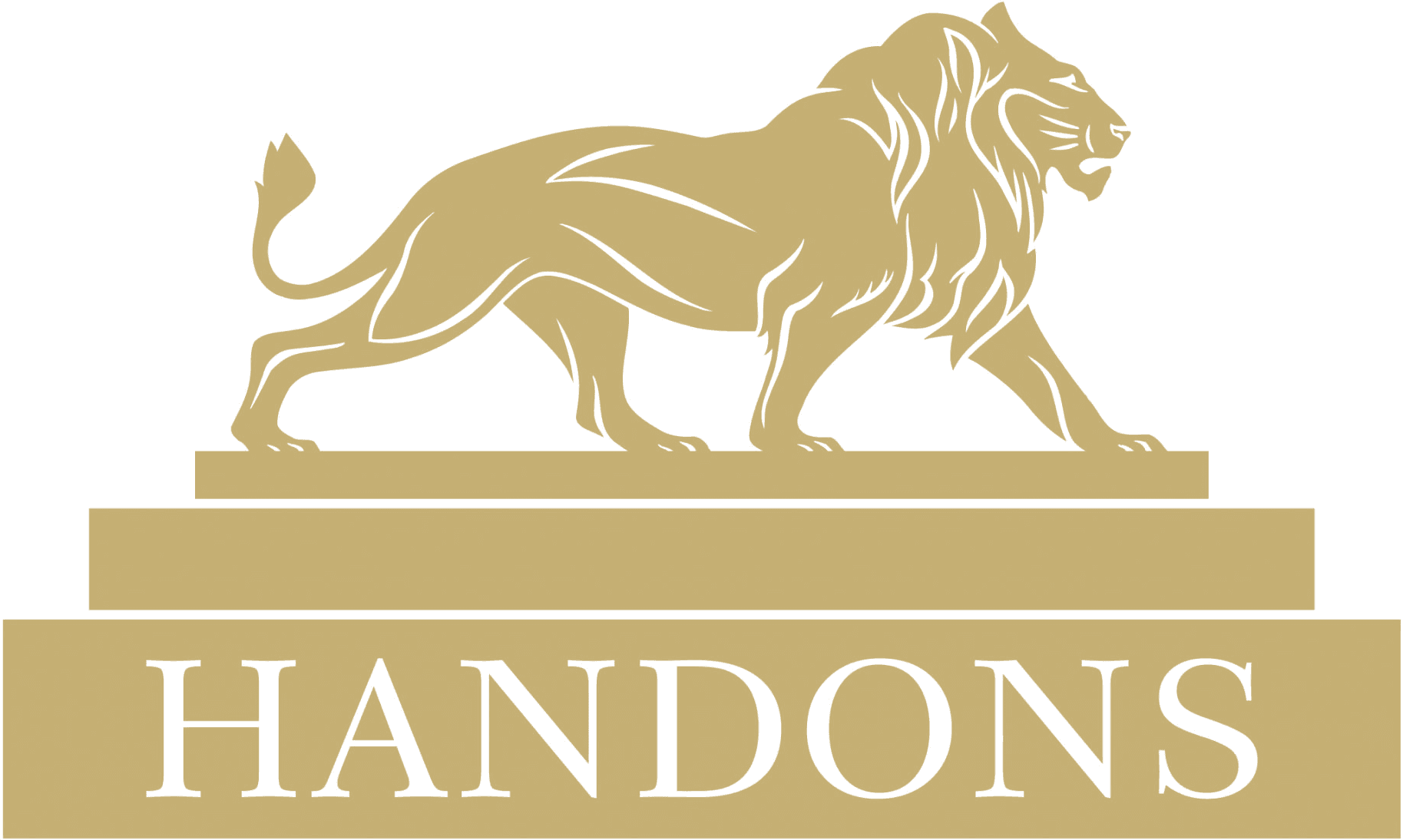 Handons